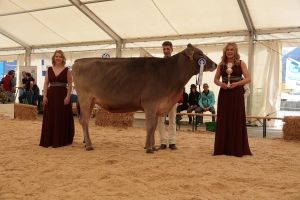 Vize Gesamtchampion BS BIRCE-ET VERA